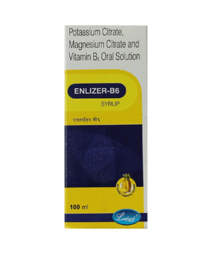 Enlizer-B6 Oral Solution Delicious Pineapple