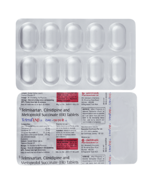 Telma LNB 10mg/25mg/40mg Tablet ER