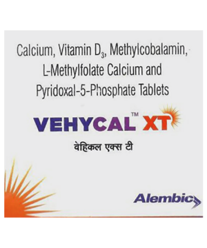 Vehycal XT Tablet