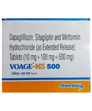 Voage-MS 500 Tablet ER