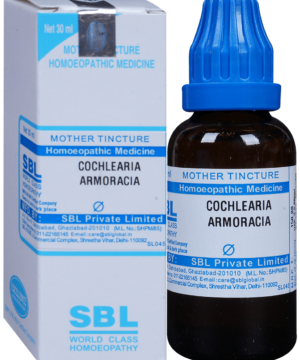 SBL Cochlearia Armoracia Mother Tincture Q