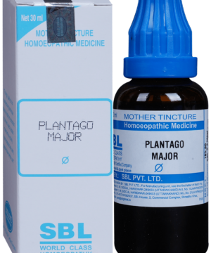 SBL Plantago Major Mother Tincture Q
