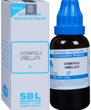 SBL Chimaphila Umbellata Mother Tincture Q