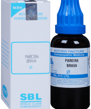SBL Pareira Brava Mother Tincture Q
