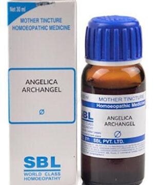 SBL Angelica Archangelica Mother Tincture Q
