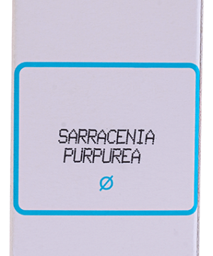 SBL Sarracenia Purpurea Mother Tincture Q