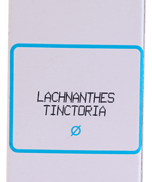 SBL Lachnanthes Tinctoria Mother Tincture Q