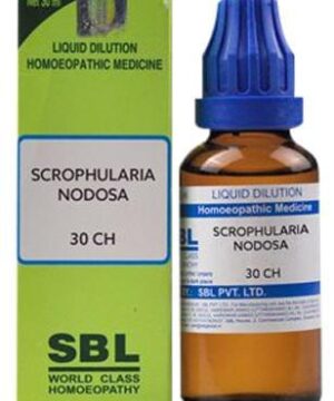 SBL Scrophularia Nodosa Dilution 30 CH