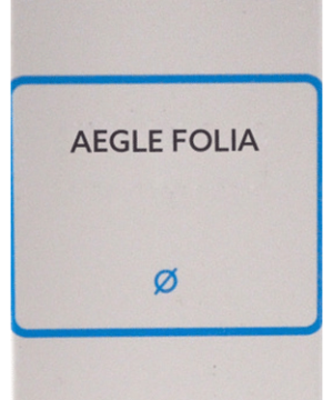 SBL Aegl Folia Mother Tincture Q