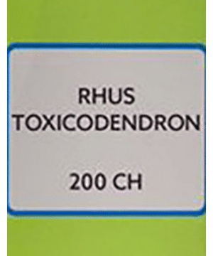SBL Rhus Toxicodendron Dilution 200 CH
