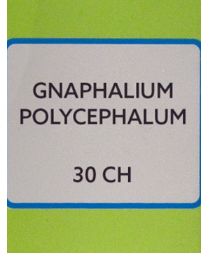 SBL Gnaphalium Polycephalum Dilution 30 CH
