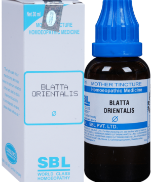 SBL Blatta Orientalis Mother Tincture Q