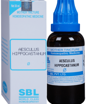 SBL Aesculus Hippocastanum Mother Tincture Q