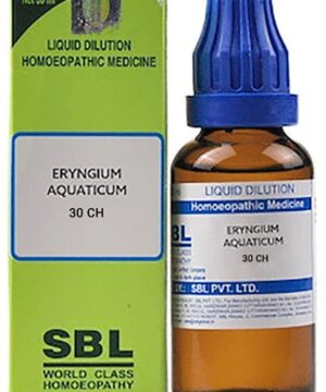 SBL Eryngium Aquaticum Dilution 30 CH