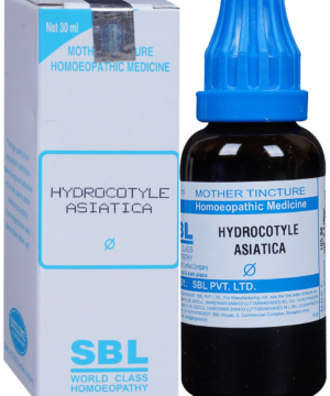 SBL Hydrocotyle Asiatica Mother Tincture Q