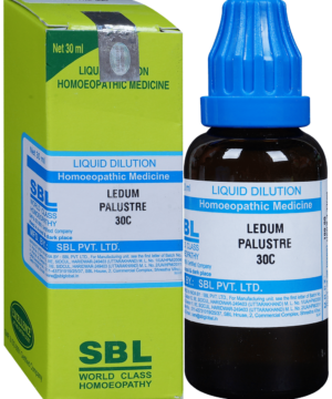 SBL Ledum Palustre Dilution 30 CH