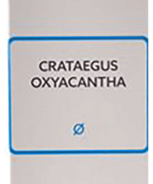 SBL Crataegus Oxyacantha Q Mother Tincture