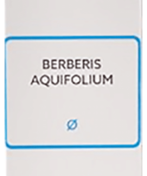 SBL Berberis Aquifolium Mother Tincture Q