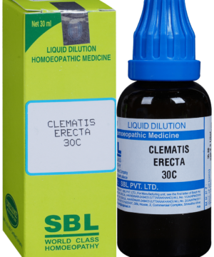 SBL Clematis Erecta Dilution 30 CH