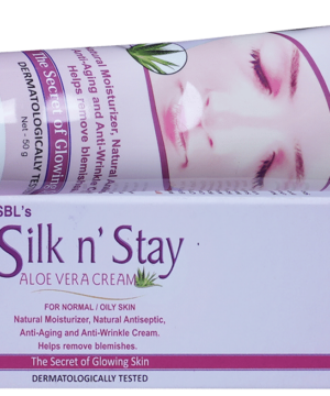 SBL Silk N Stay Aloe Vera Cream for Normal / Oily Skin