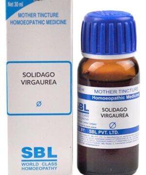 SBL Solidago Virgaurea Mother Tincture Q
