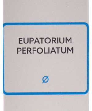 SBL Eupatorium Perfoliatum Mother Tincture Q