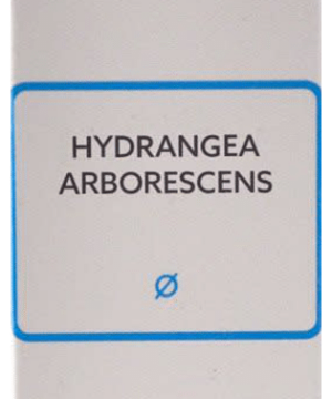 SBL Hydrangea Arborescens Mother Tincture Q