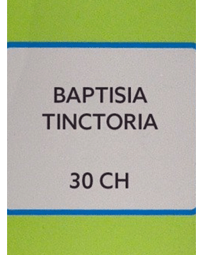 SBL Baptisia Tinctoria Dilution 30 CH