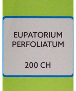 SBL Eupatorium Perfoliatum Dilution 200 CH