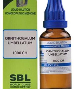 SBL Ornithogalum Umbellatum Dilution 1000 CH
