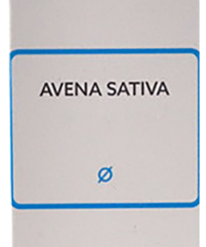 SBL Avena Sativa Mother Tincture Q