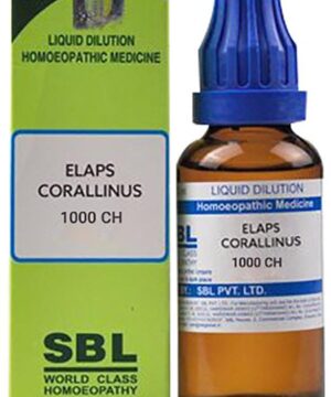 SBL Elaps Corallinus Dilution 1000 CH