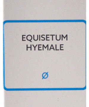 SBL Equisetum Hyemale Mother Tincture Q