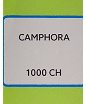 SBL Camphora Dilution 1000 CH