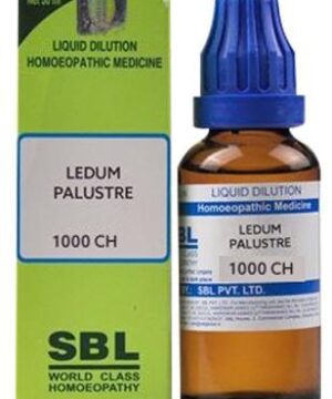 SBL Ledum Palustre Dilution 1000 CH