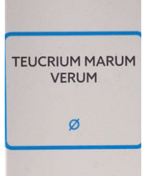 SBL Teucrium Marum Verum Mother Tincture Q