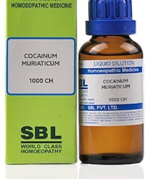 SBL Cocainum Muriaticum Dilution 1000 CH