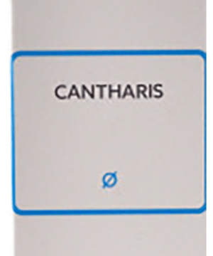 SBL Cantharis Mother Tincture Q
