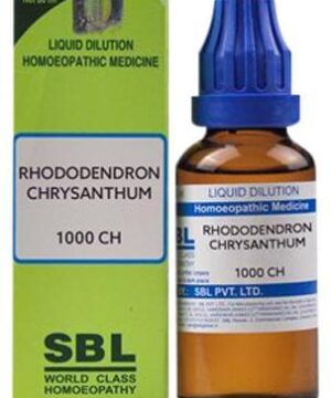 SBL Rhododendron Chrysanthum Dilution 1000 CH