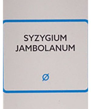 SBL Syzygium Jambolanum Mother Tincture Q