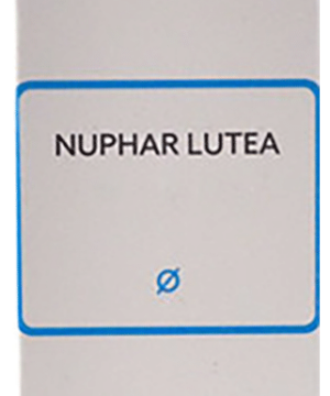 SBL Nuphar Lutea Mother Tincture Q