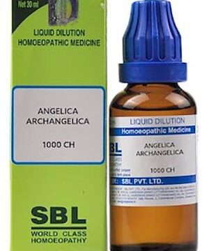SBL Angelica Archangelica Dilution 1000 CH