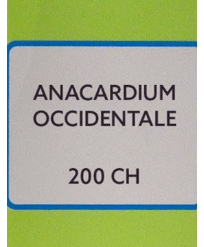 SBL Anacardium Occidentale Dilution 200 CH