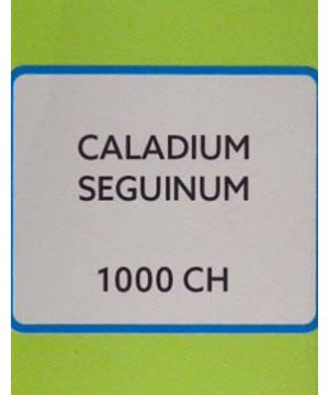 SBL Caladium Seguinum Dilution 1000 CH