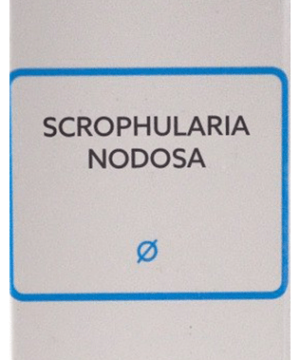 SBL Scrophularia Nodosa Mother Tincture Q