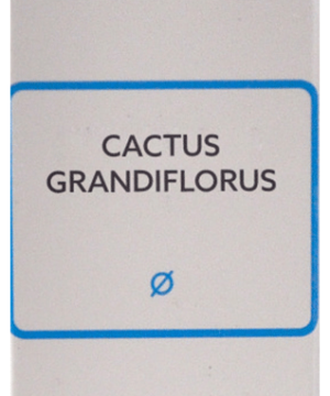 SBL Cactus Grandiflorus Mother Tincture Q