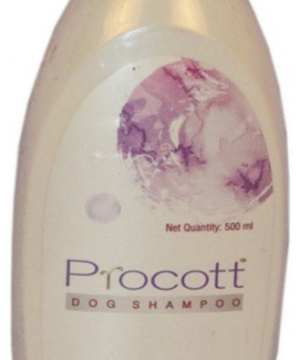 Intas Procott Dog Shampoo