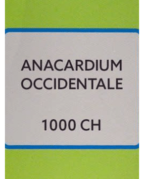 SBL Anacardium Occidentale Dilution 1000 CH