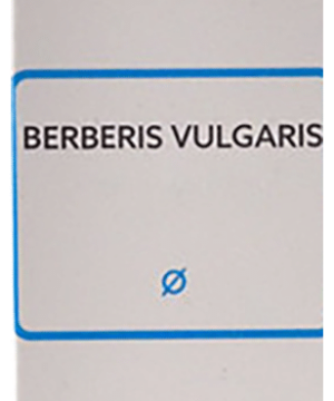 SBL Berberis Vulgaris Mother Tincture Q | Stomach Care