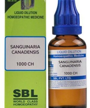 SBL Sanguinaria Canadensis Dilution 1000 CH